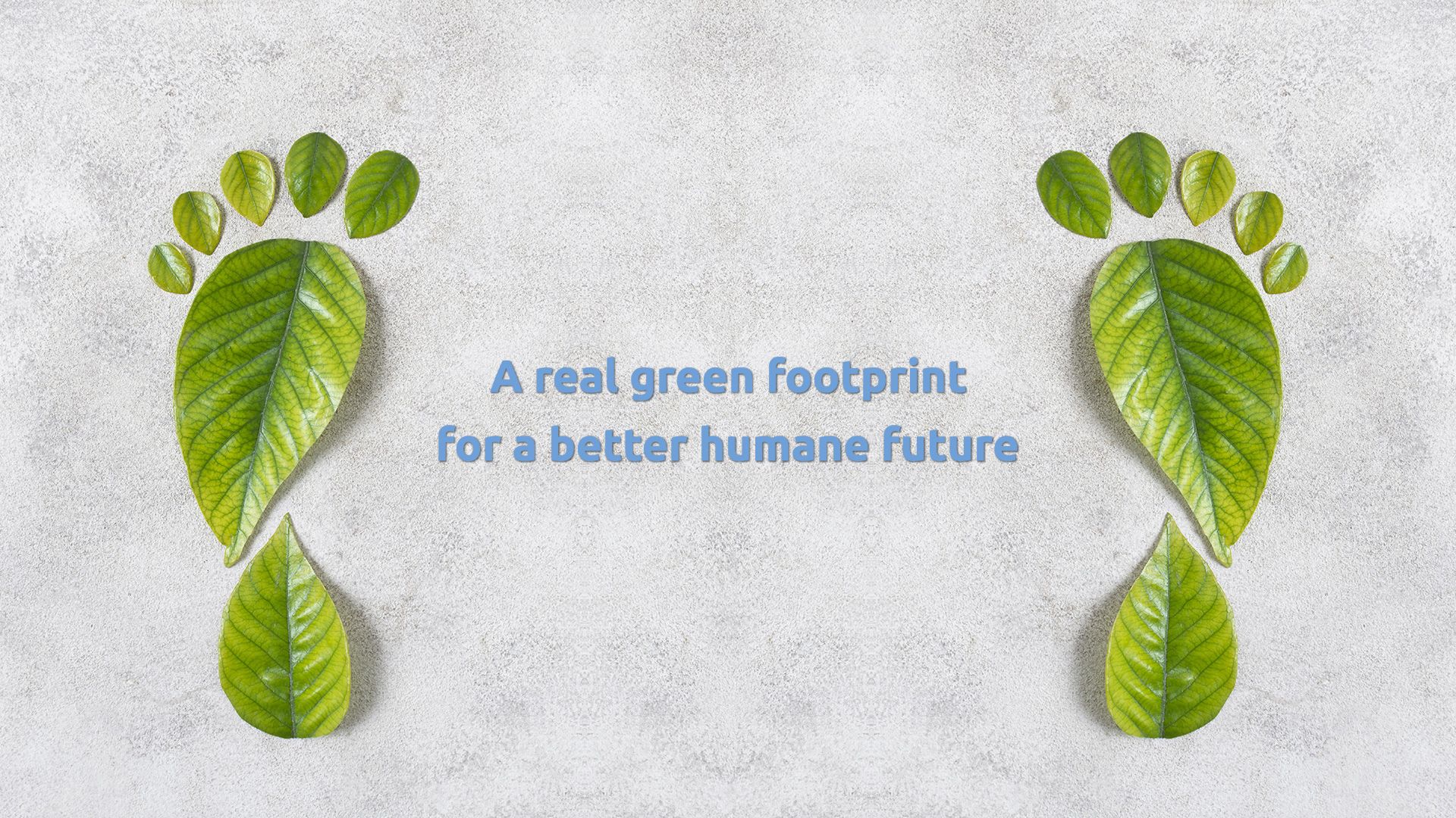 Green footprint